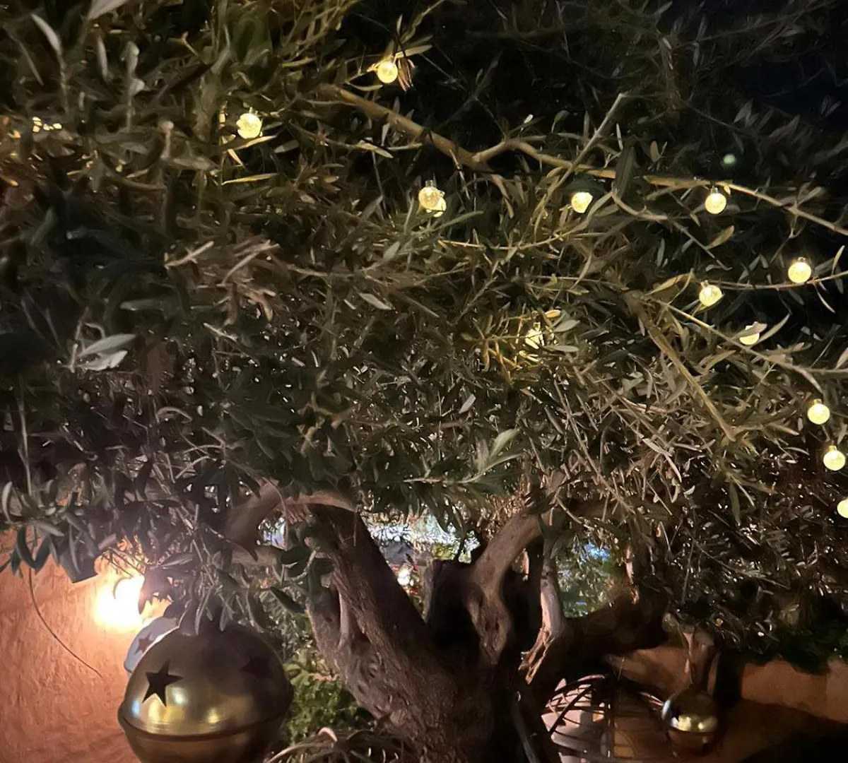 Appartamento Relais dei Mori Casa Vacanze Palermo Casteldaccia
